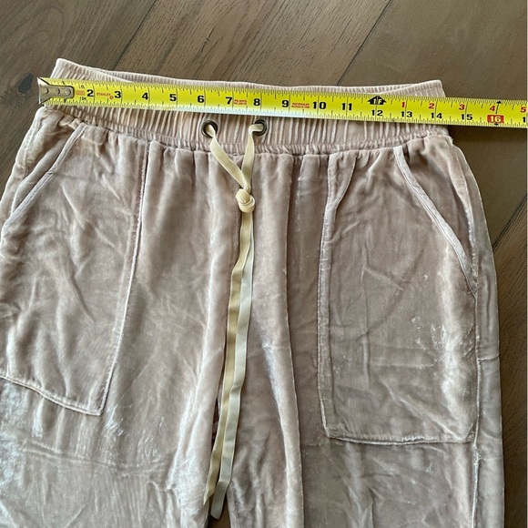 Young Fabulous & Broke Velour/Silk Tan Joggers, size small - Picture 6 of 7